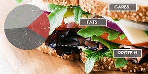 macronutrient diet plan