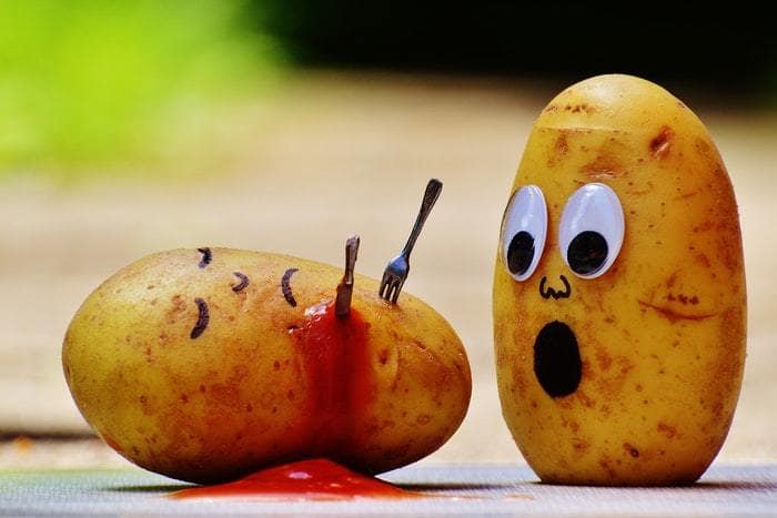 All About The Ketogenic Diet Potatoes are forbidden on the ketogenic diet